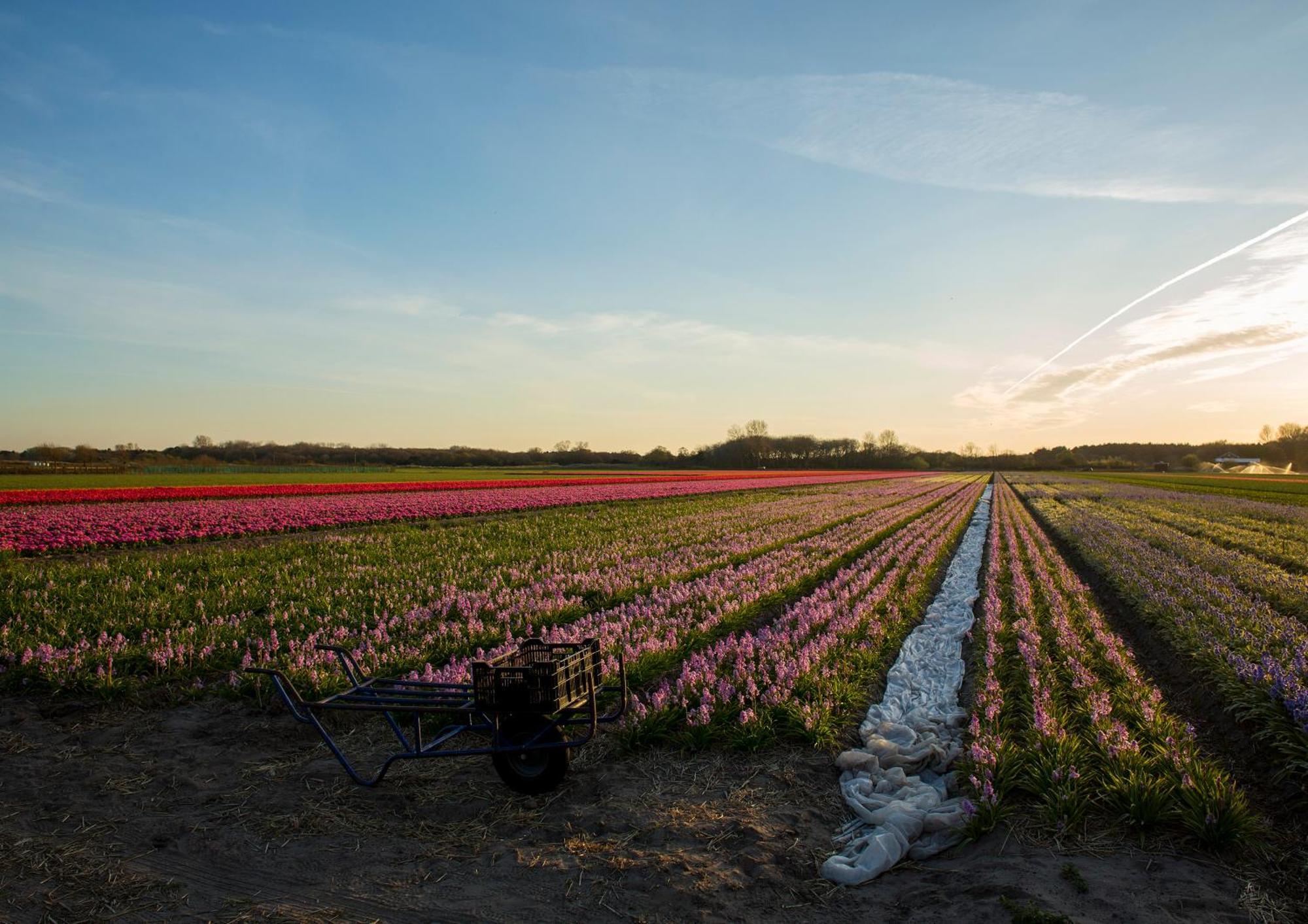 Dw Castricum Hotel Luaran gambar